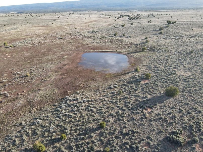 dji_fly_20240504_071738_302_1714828715805_photo