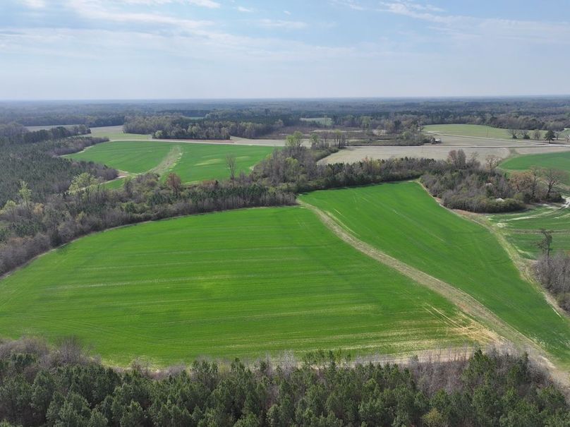 DJI_20260303064044_0564_D