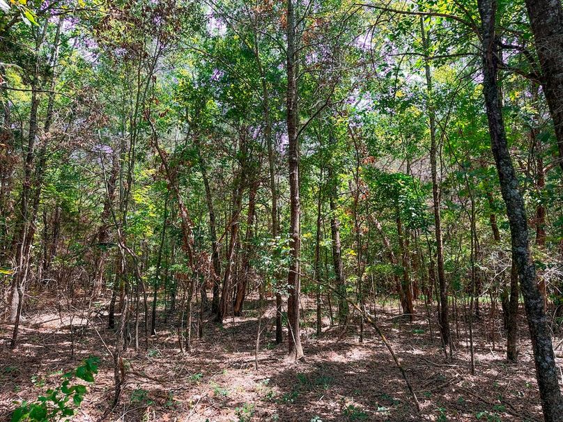 Chickasaw 160 Porter-23