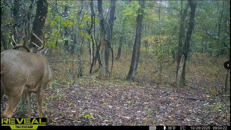 Screenshot_24-1-2026_83030_drive.google.com