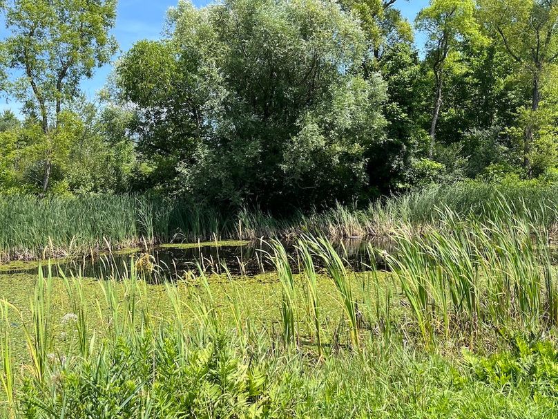 Yates_9_Dunlop Photo 15