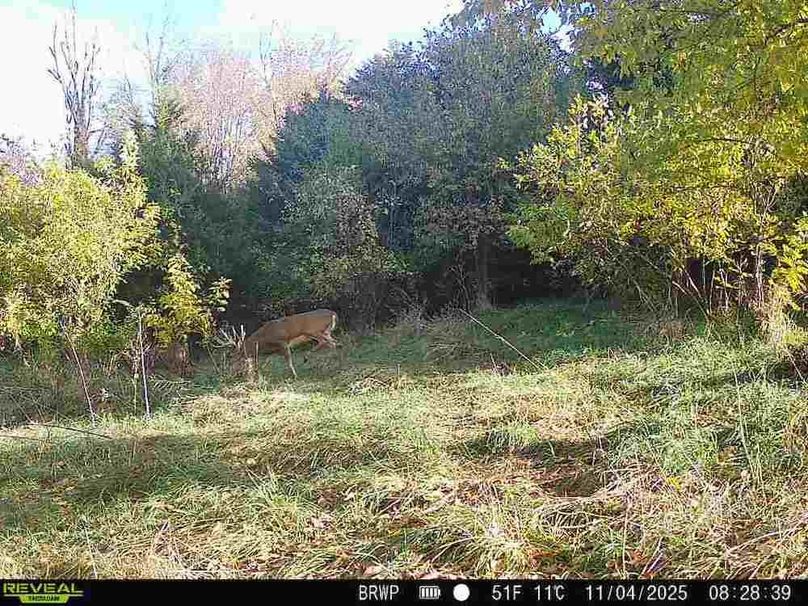 860322065924133-100-4-11042025082838-W1000541