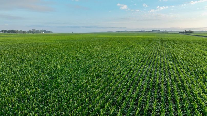 Copy of Copy of DJI_0363