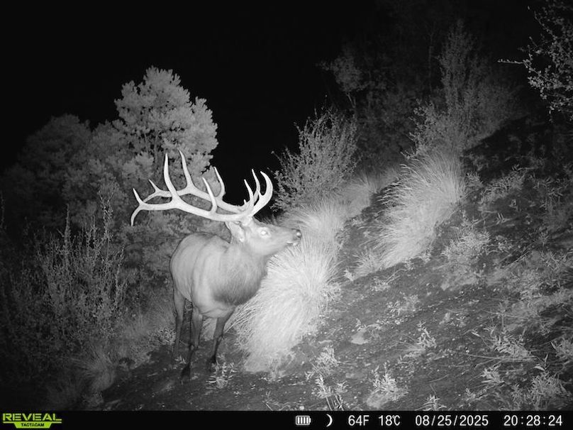 860516060007964-100-3-08262025091222-HD-SYFW4069