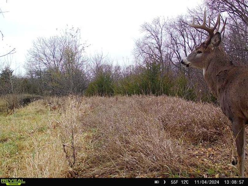 864049056683016-50-4-11042024130856-W1001528