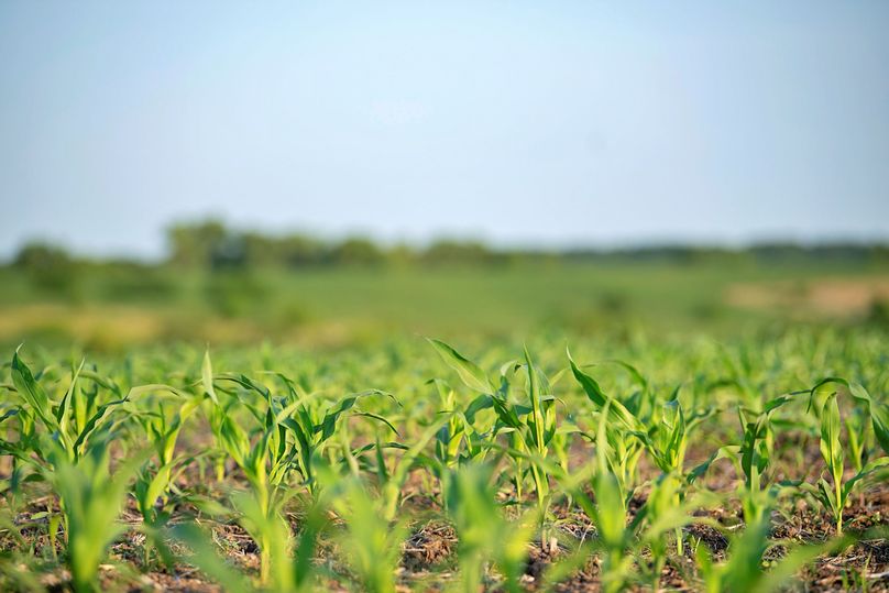 Harrison MO 480 Pro Photo_230 (21)