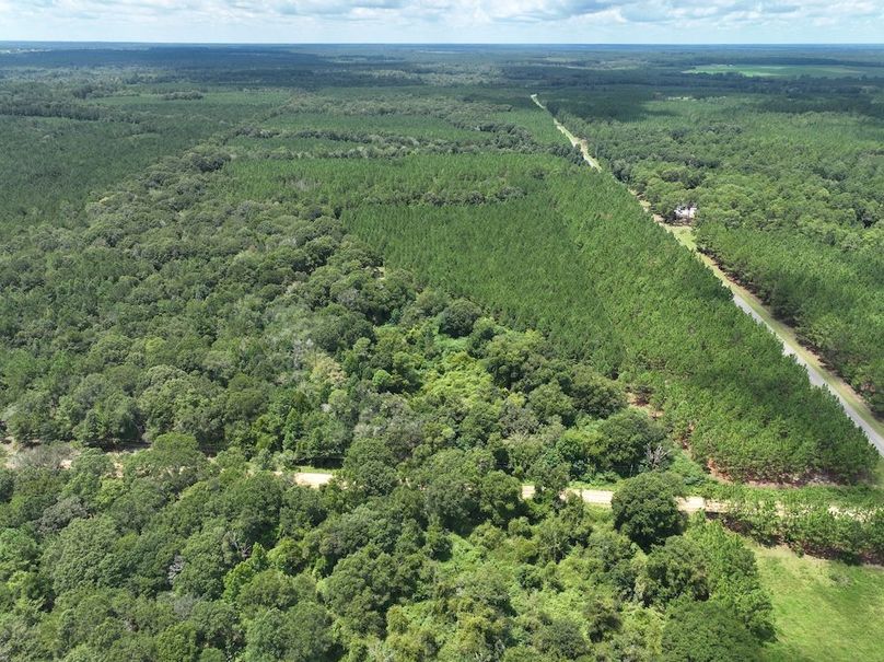 dji_fly_20250814_131930_79_1755192472122_photo