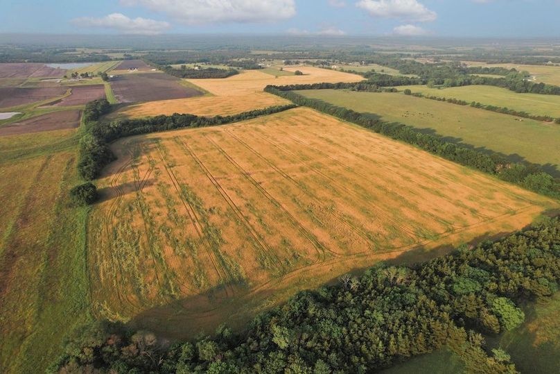 Lamar County- 92.66 Acres (8 of 29)