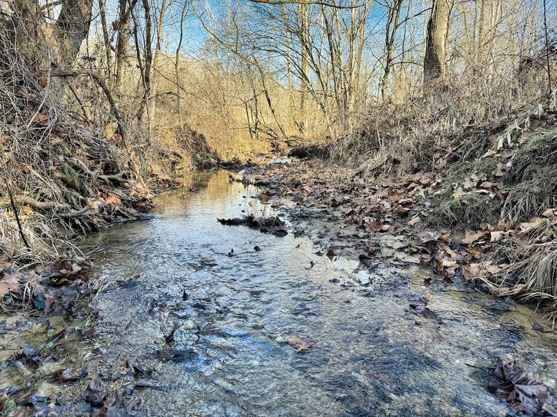 028 beautiful streams throughout