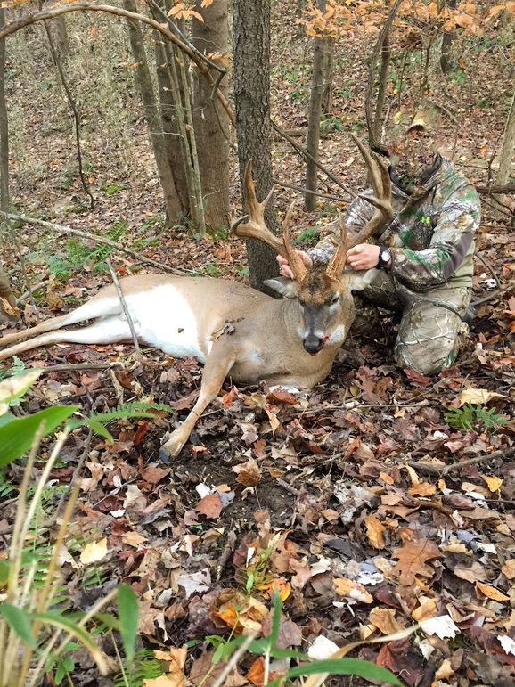 Tallahatchie 847 Trail Cam (JPG)-01