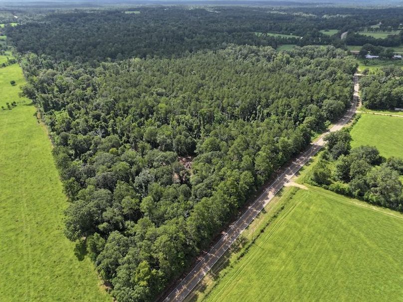 dji_fly_20250708_104906_0204_1752089888148_photo