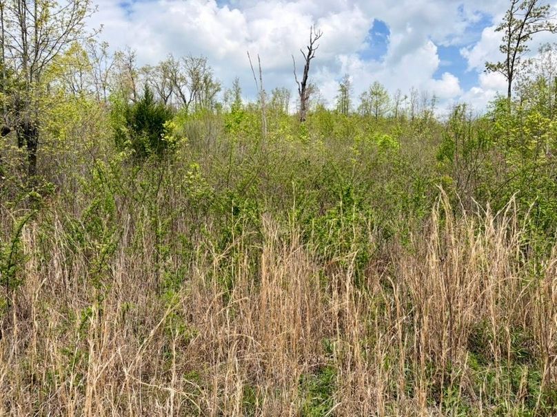 5C16092C-7C57-4B78-B11C-DF112FBB9555_1_105_c-2