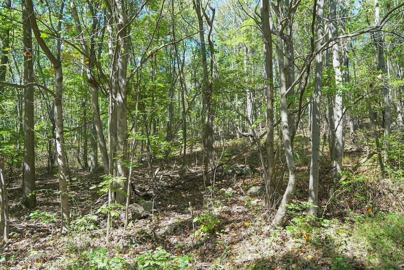 Fayette, 199, Hostetler-37