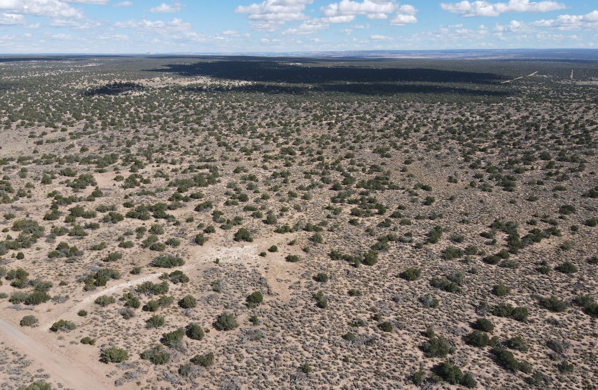 pic3.dji_fly_20231028_115716_231_1698519451082_photo