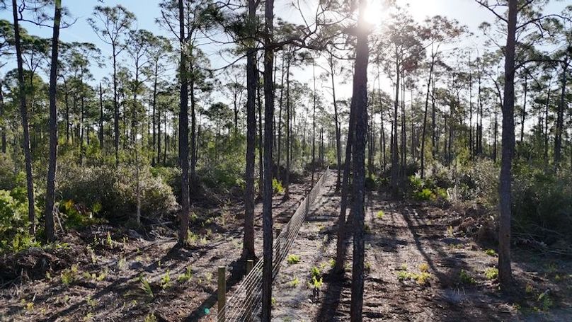 DJI_20260402084423_0414_D