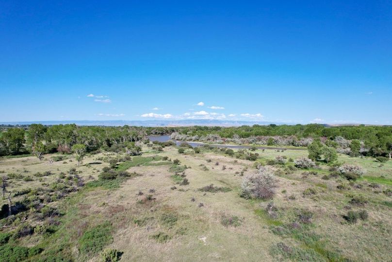 C818363D-96E4-423C-A7F6-75AFF6A1FBF0_1_201_a