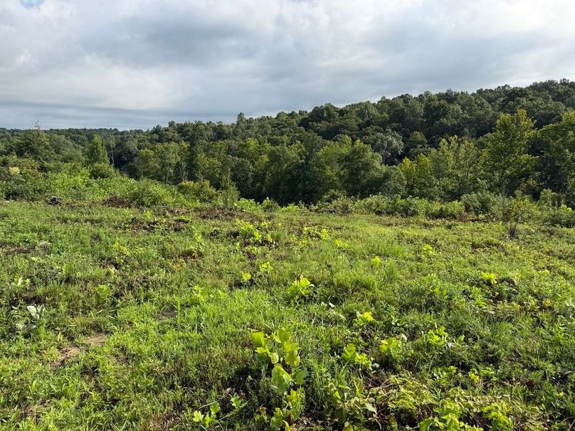 Breckinridge 31.6 14