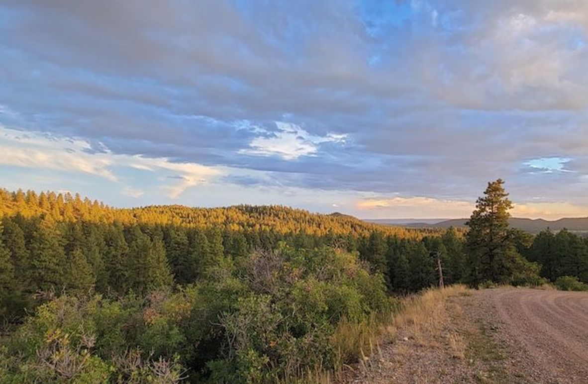 Copy of 20210826_193443