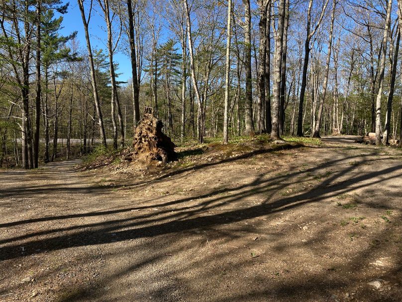 2023-05-08_08-21-17-0400