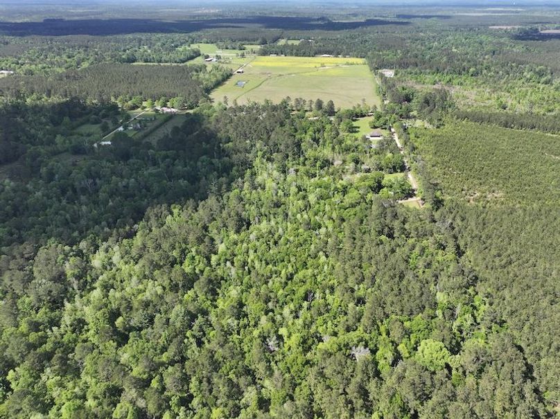 dji_fly_20260408_140800_0068_1776086822230_photo