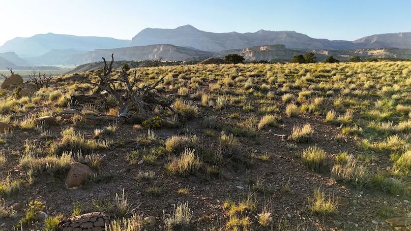 DJI_20240906185506_0216_D