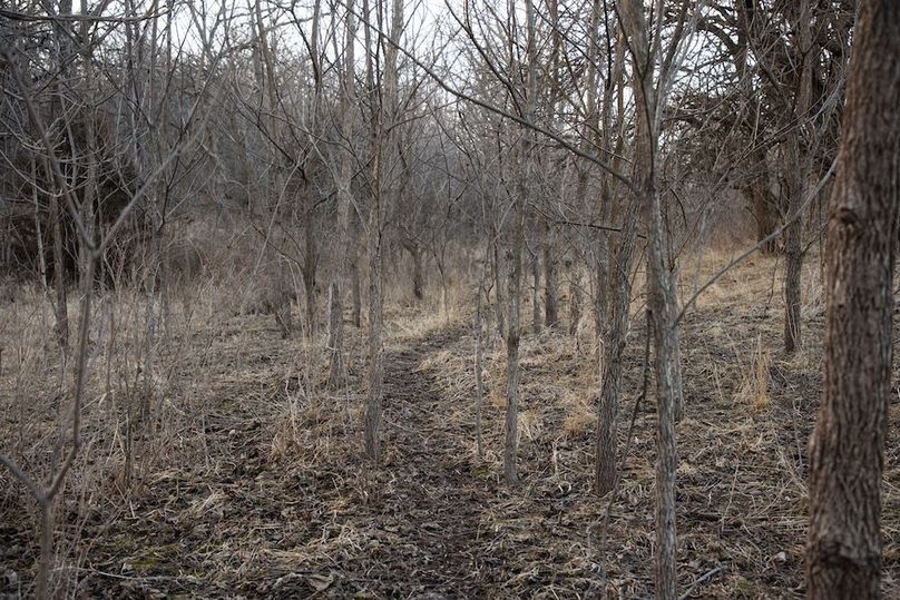 MONTGOMERY CO IA 156.78_40