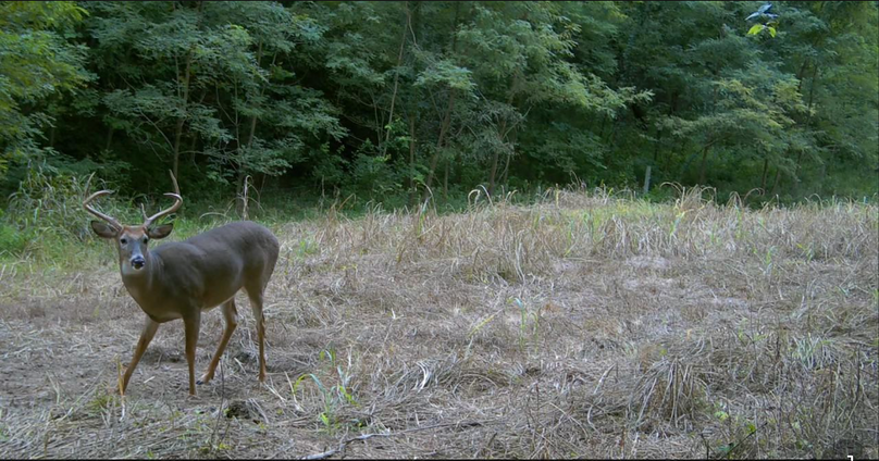 4.5 Copy of Screenshot 2025-09-24 at 2.50.55 PM