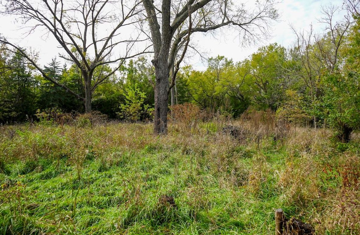 Dickinson Co, 154.5_004