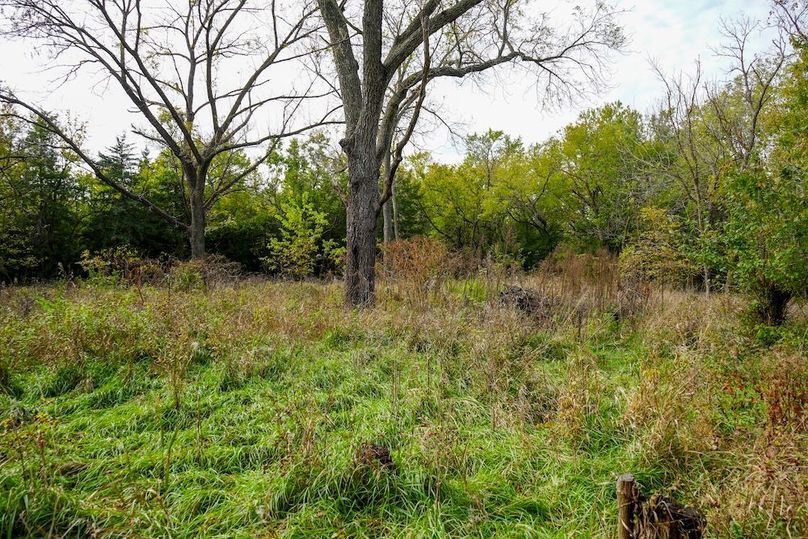 Dickinson Co, 154.5_004