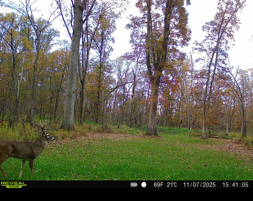 Screenshot 2026-04-09 at 12.51.57 PM