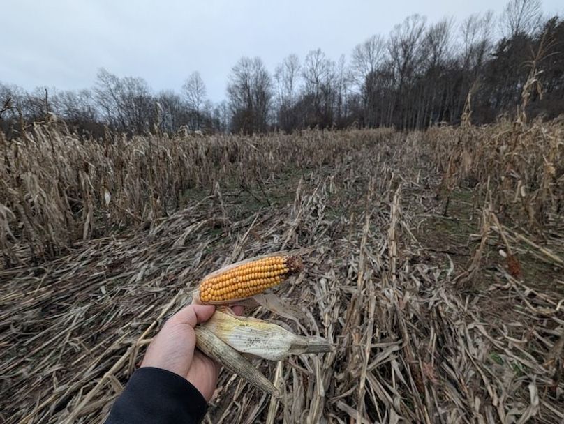 PXL_20260107_205509999