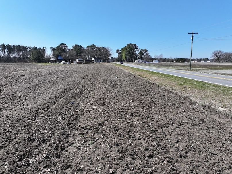 DJI_20260201121340_0411_D