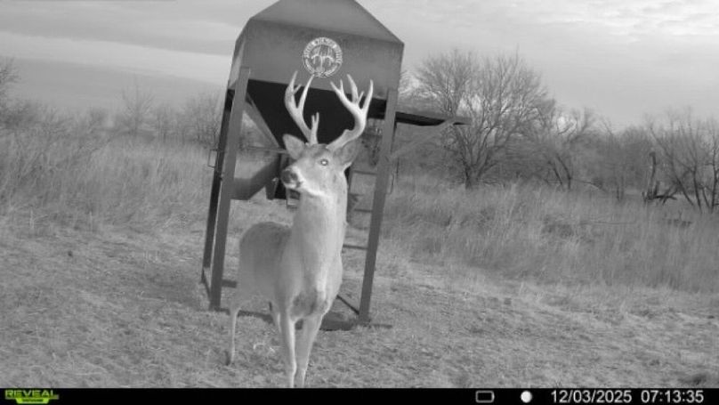 016578004041353-12-4-12032025071335-V-SYFW16579