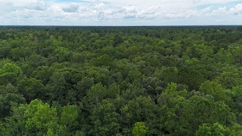 dji_fly_20250715_130722_0645_1752599373471_photo