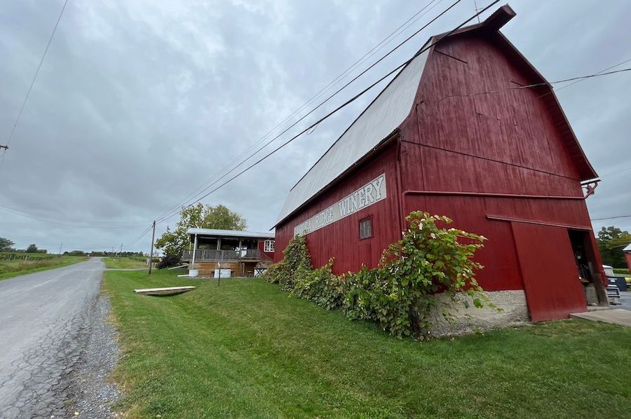Seneca_15.2_Cayuga Ridge WInery Photo 52 
