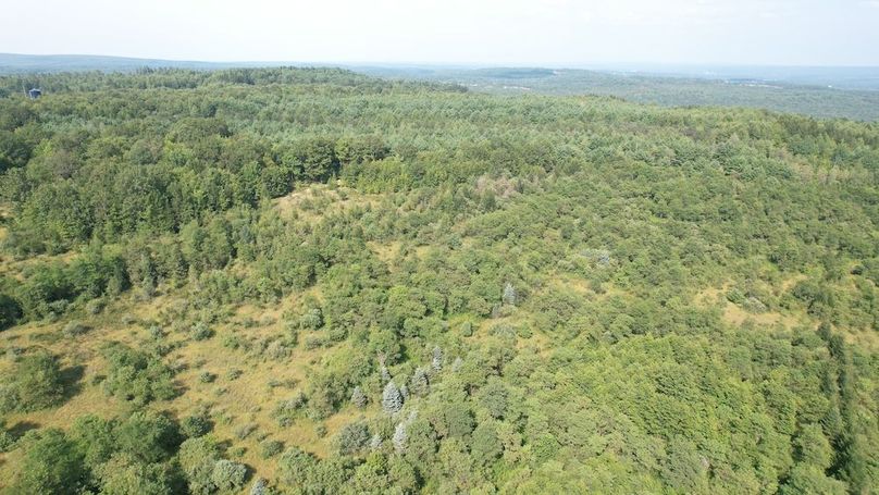 dji_fly_20250804_162506_509_1754355784203_photo