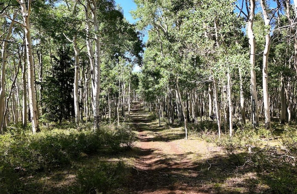 DJI_20250726162207_0025_D