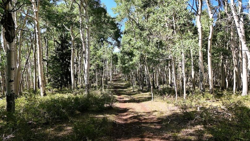 DJI_20250726162207_0025_D