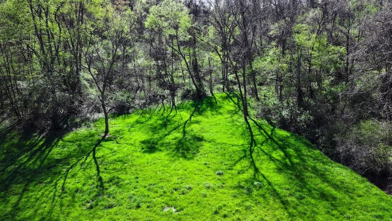 DJI_20250425040635_0434_D