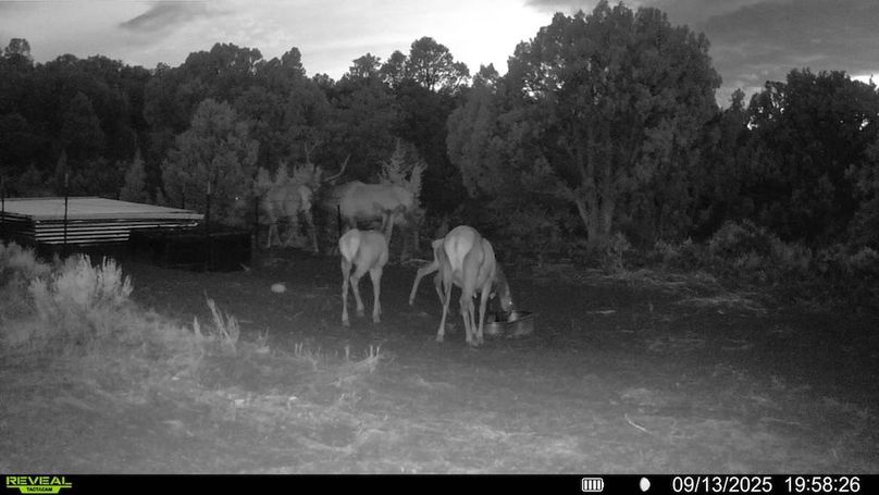 016578004060205-100-3-09132025195826-V-SYFW00063