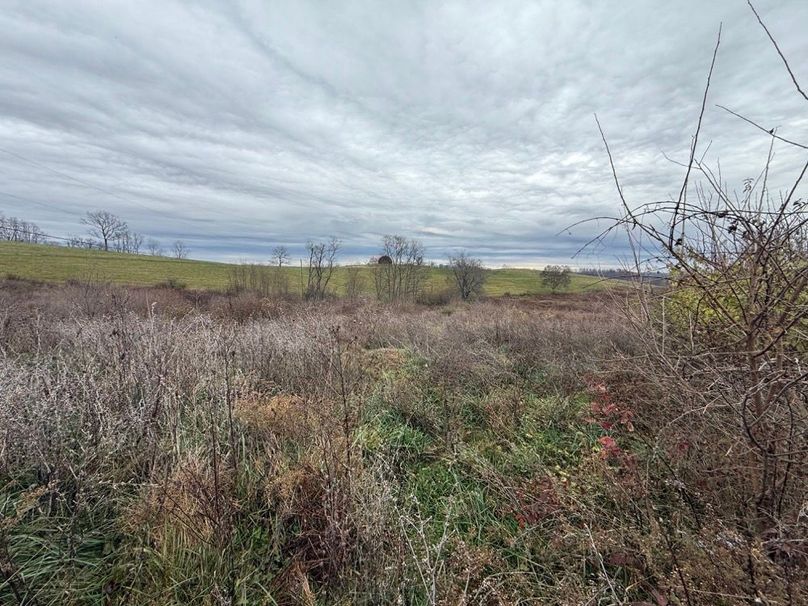 008 open field area in the north area of the property