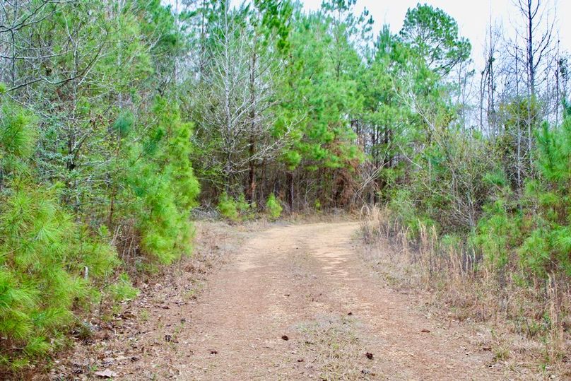 B73BB47E-A1F0-4174-A1E6-9B14F39D7B7F_1_105_c