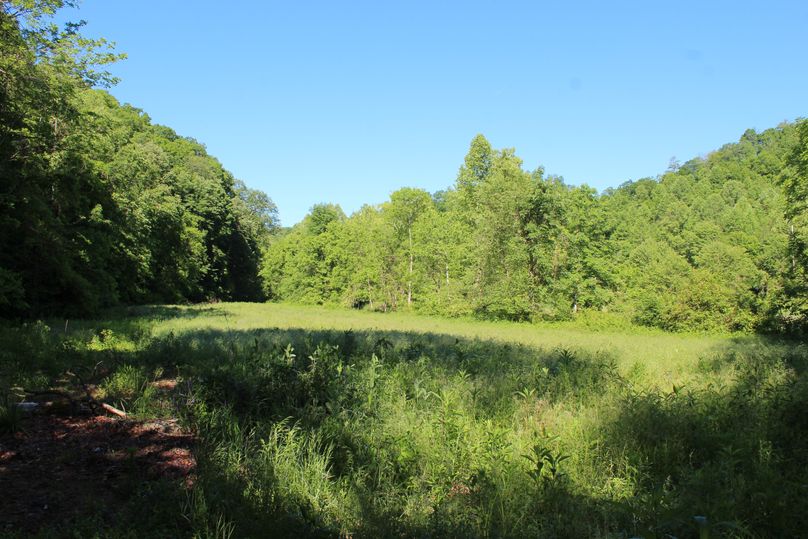 009 the open field area on the east side of the creek