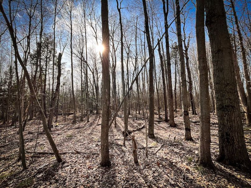 StLawrence_142.7_Bosse_Photos_47