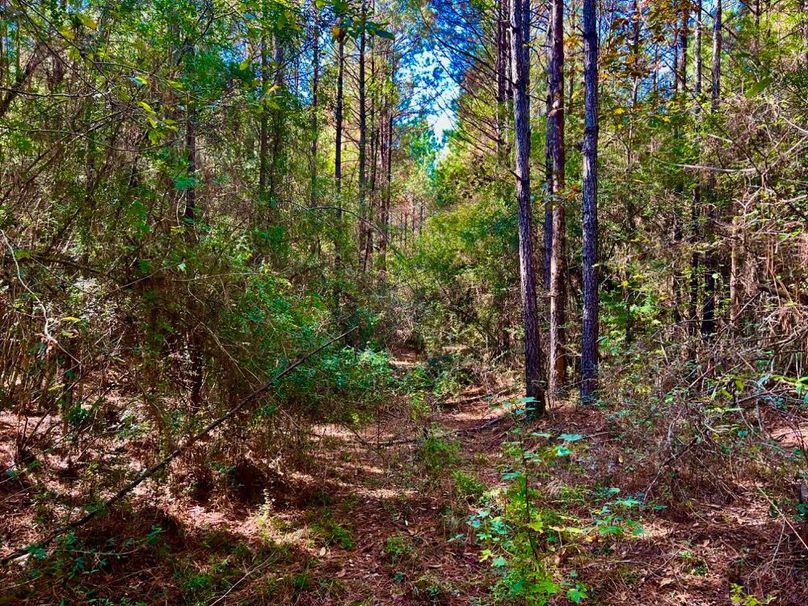 8CB456E5-E6FD-46B6-B381-11C254FA5D4E_1_201_a