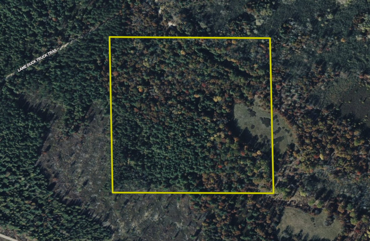 Aerial001_Milne_40_Arenac