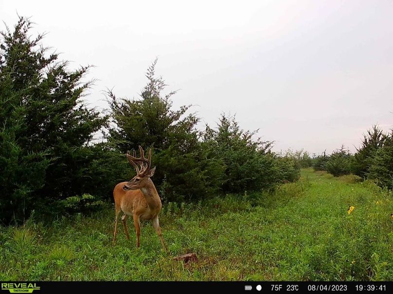 072C2686-2BA6-4162-BB3E-FC5C6037200D