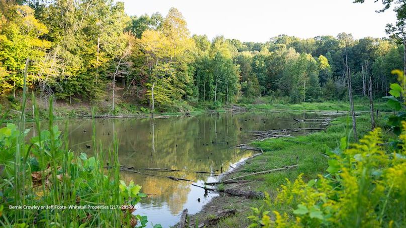 Tallahatchie 847 Messina-32