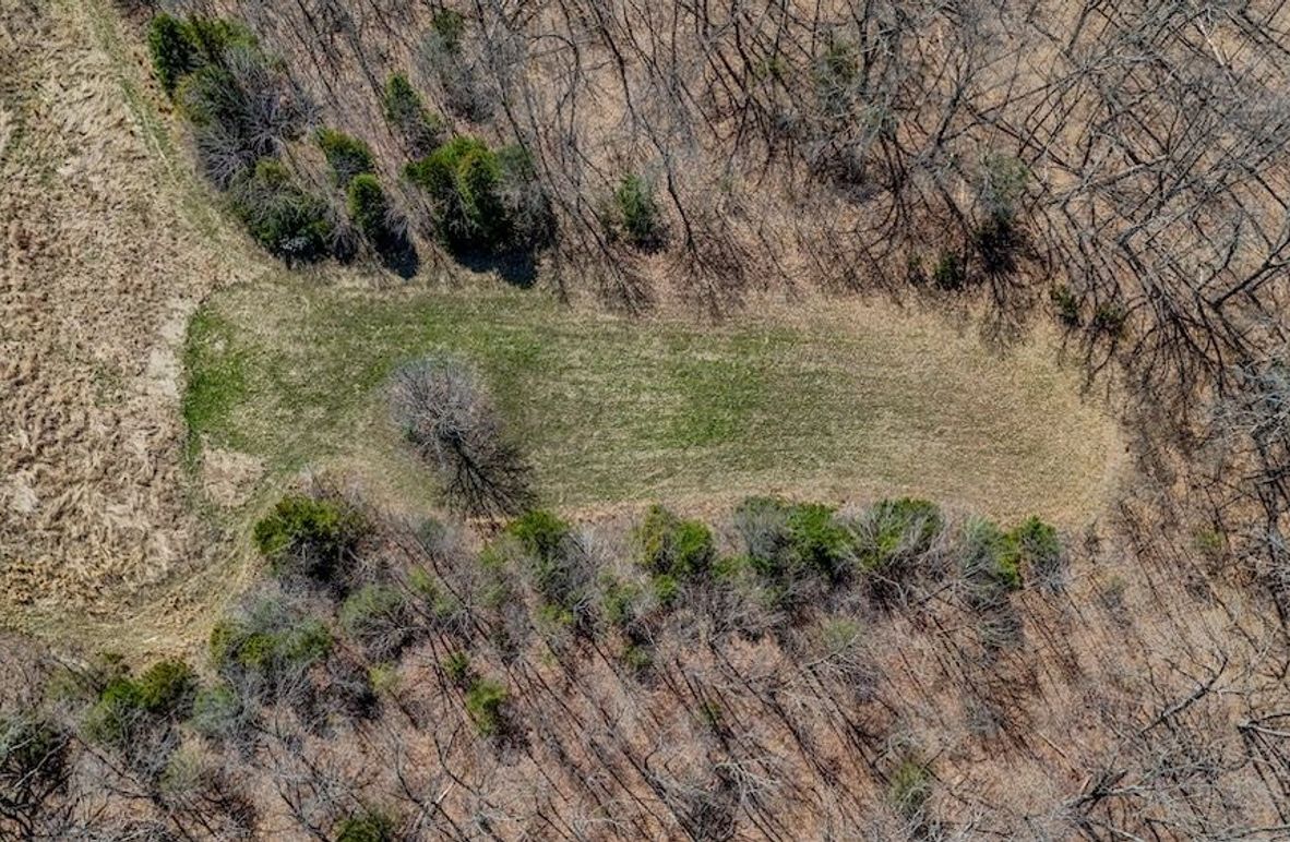 DJI_20250402113117_0007_D