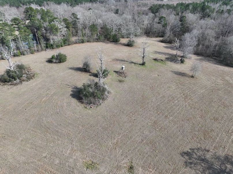 dji_fly_20260220_132500_0232_1771640790997_photo